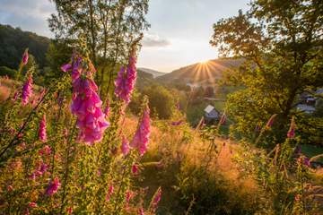 Ein Land wie ein Bilderbuch – das Schmallenberger Sauerland!