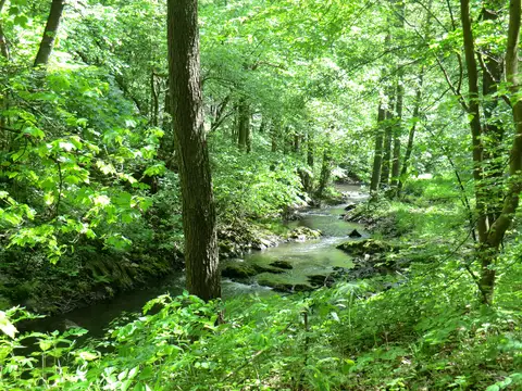 Blick auf die Selke