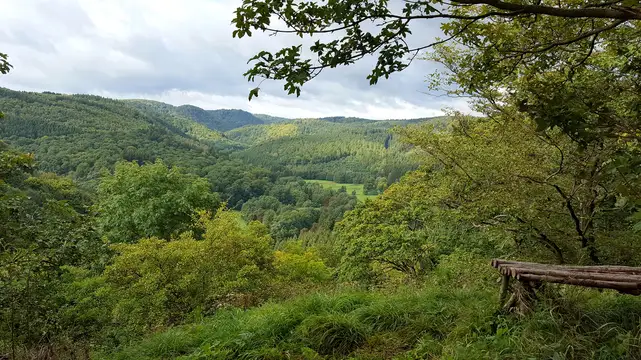 Ausblick vom Alten Falkenstein