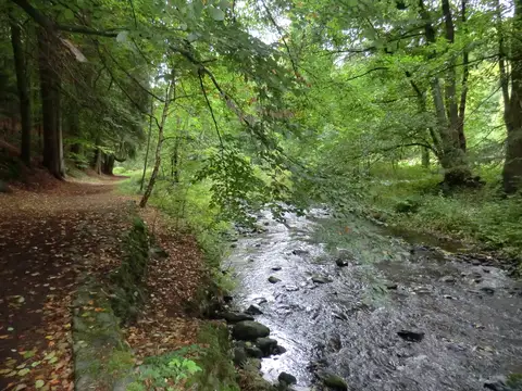 Selke und Wanderweg im Selketal