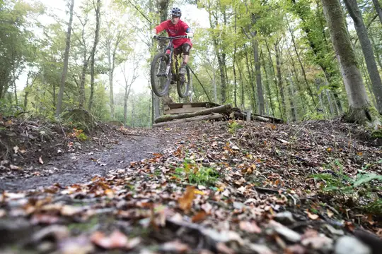 MTB Flowtrail Siegen