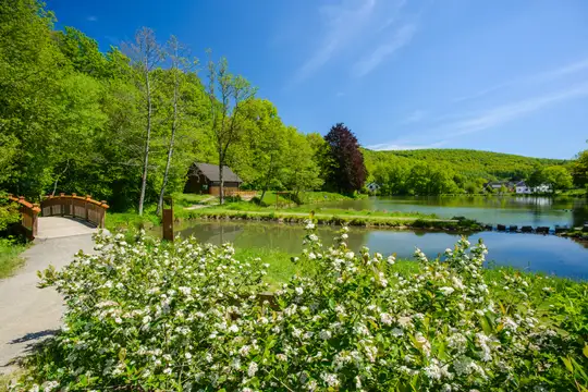 Freudenberg Gambachsweiher