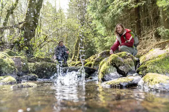 Wandern am Drei-Länder-Eck