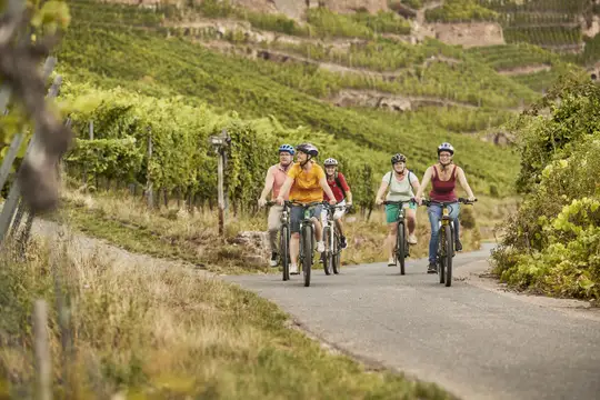 Radtour durch die Weinberge