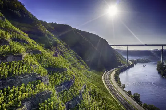 Terrassenmosel