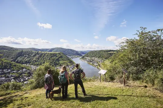 Blick ins Moseltal