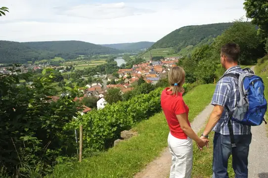 Wandertouren Spessart-Mainland