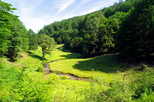 Wandern Spessart-Mainland