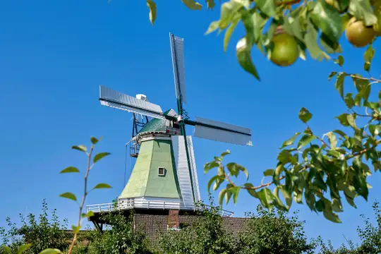 Windmühle Venti-Amica in Hollern-Twielenfleth