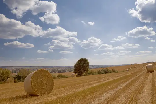 GĂ€uboden