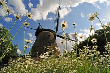 Windmühle Hartum