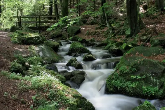 Das romantische Silberbachtal im Teutoburger Wald