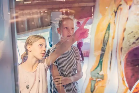 Im Universum® Bremen können Sie Ihren Körper genau unter die Lupe nehmen!