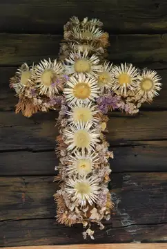 Silberdistel Kreuz