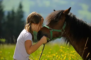 Erlebnisurlaub hoch zu Ross -  Urlaub am Bauernhof in Österreich