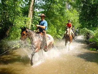 Erlebnisurlaub hoch zu Ross - Urlaub am Bauernhof in Österreich