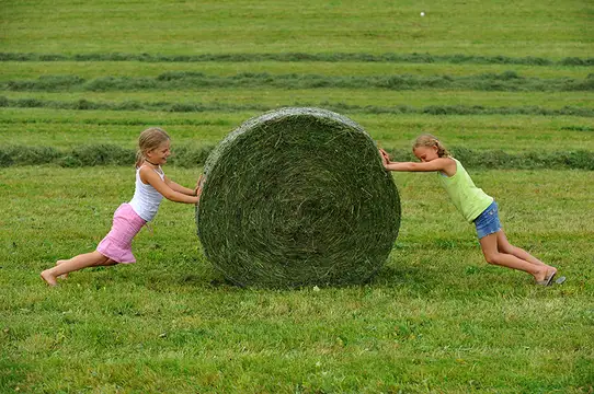 Große Ferien für kleine Leute - Urlaub am Bauernhof in Österreich