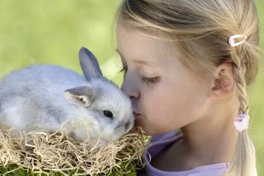 Tiere zum Streicheln