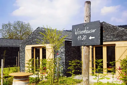 Weinkulturgut an der Mosel