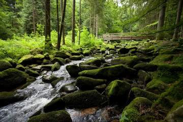 Saussbachklamm