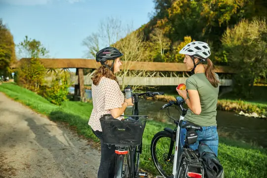 Schwarzwald Panorama Radweg Tiengen