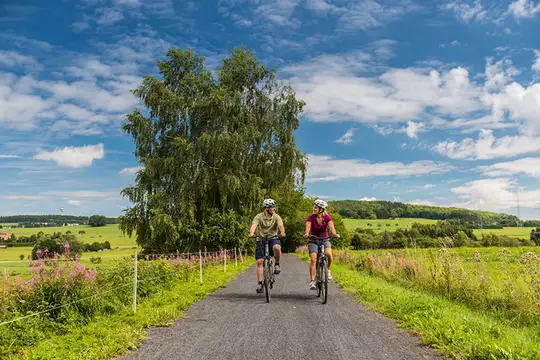 Radfahren bei Rehe im Westerwald