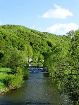 Die Wied bei Waldbreitbach