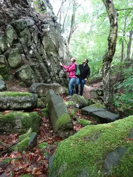 Natur entdecken am Roßbacher Häubchen