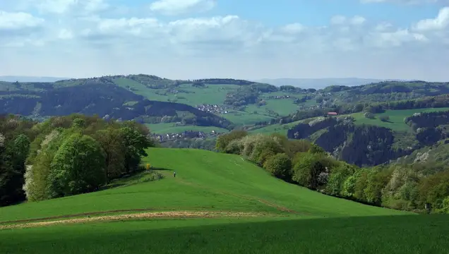 Wiedtal