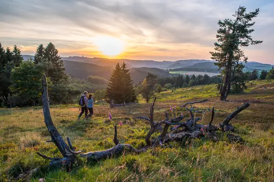 Wanderer unterwegs auf der Hochheide in Usseln