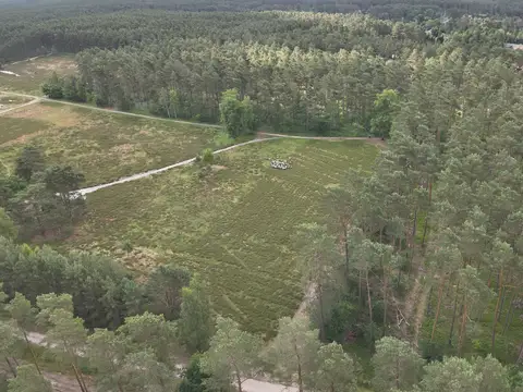 Heidefläche im Frühjahr