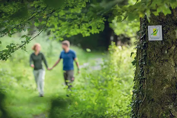 GENUSSWANDERN und SOLE-WELLNESS