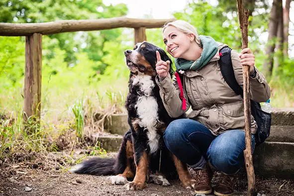 Harzurlaub mit Hund