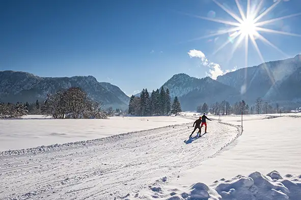 Winterzauber aus Schnee & Eis