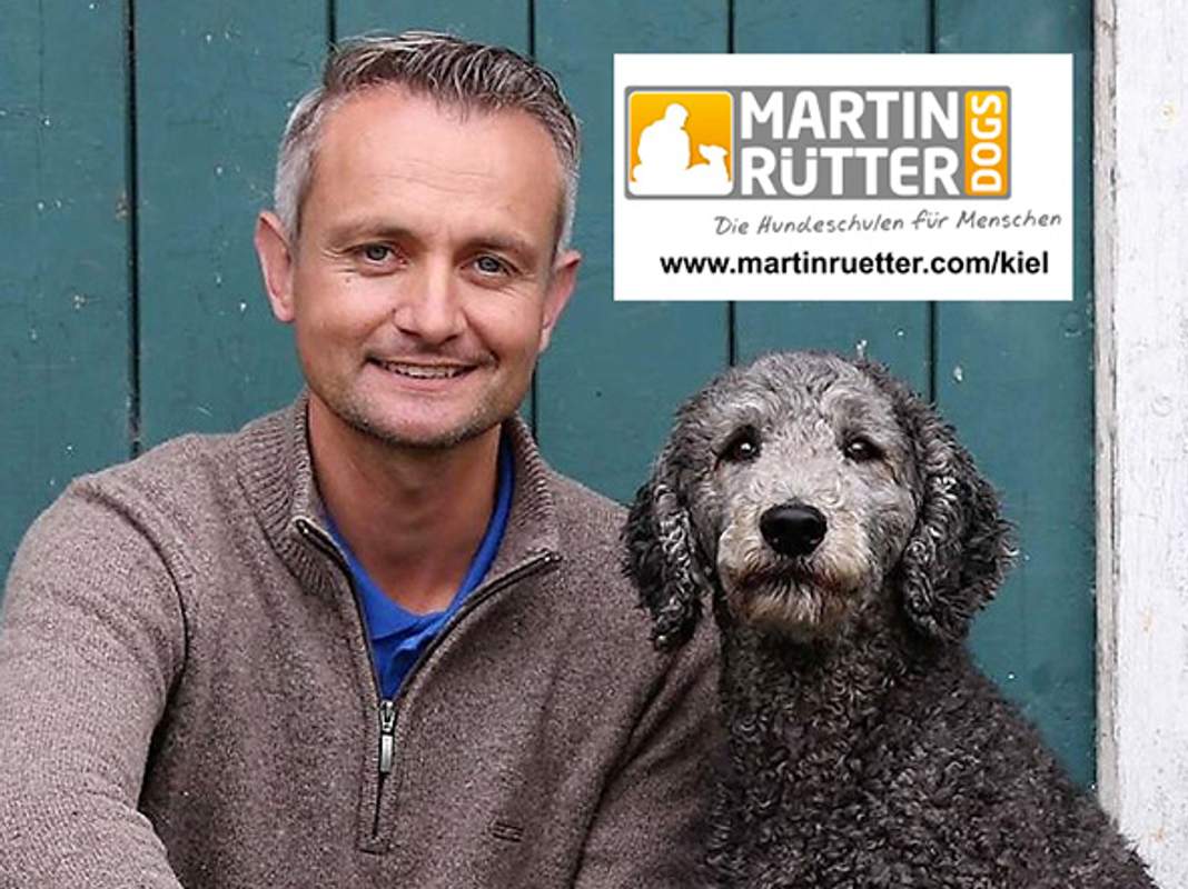 Verstehst du deinen Hund? mit Marc Eichstedt (Martin Rütter Hundeschule Kiel)