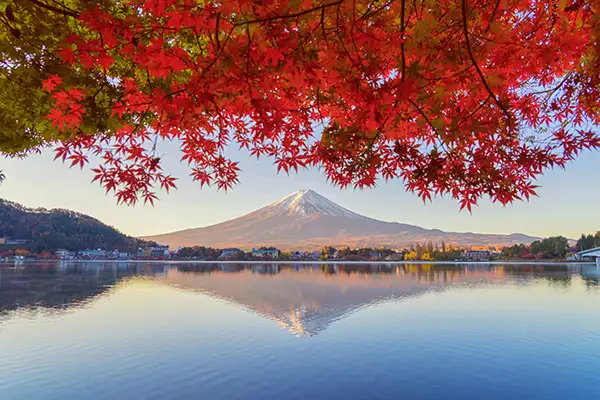Die Geheimnisse der japanischen Kultur