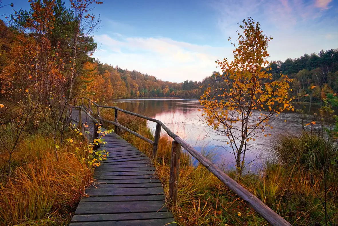 „Das Schönste am Herbst“